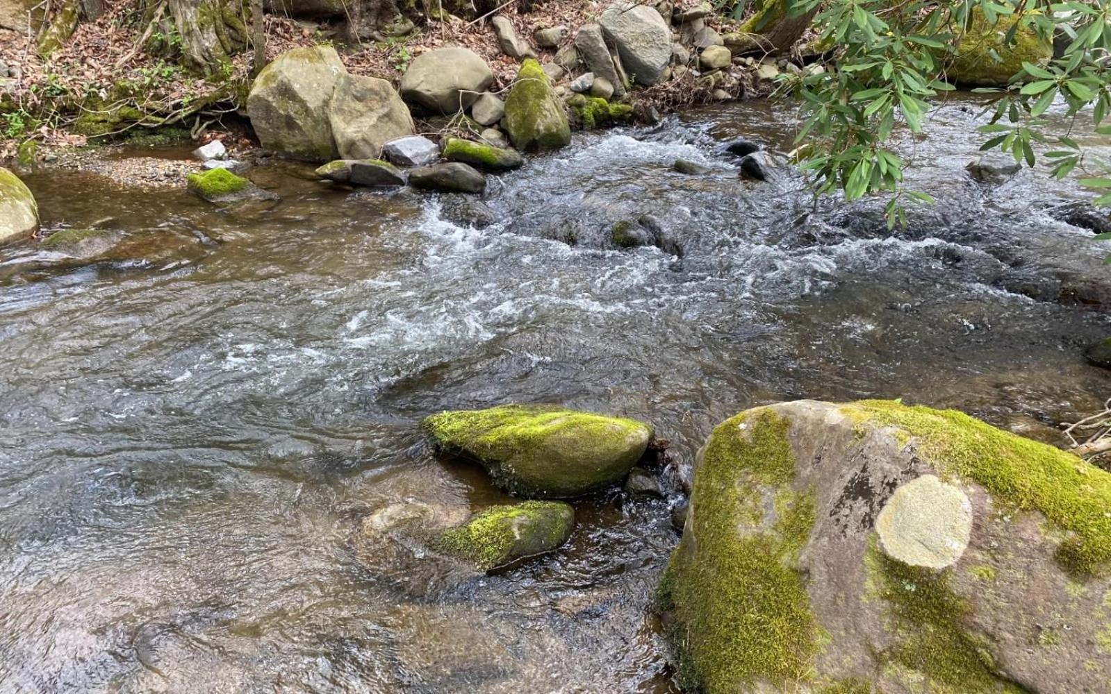 Shady Creek Villa Gatlinburg Buitenkant foto